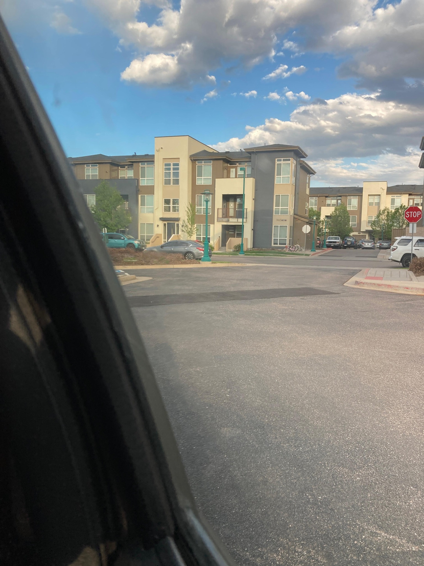 Denver Apartment Painting Projects